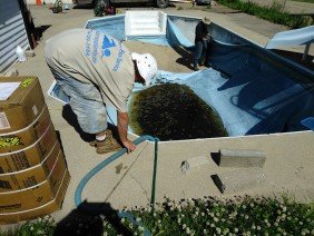 Downriver Pool Service - Photo 3