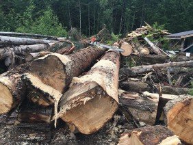 Second Growth Homes - Photo -1