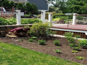 Moodscapes LLC - Photo 2