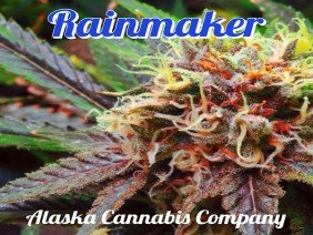 Alaska Cannabis Company - Photo 0