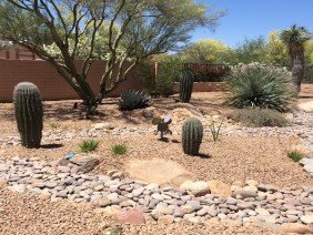 Arizona LandShapes - Photo 1