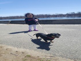 New Era Plumbing & HVAC - Photo 4