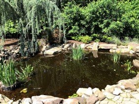 Clearwater Landscape & Nursery - Photo -1