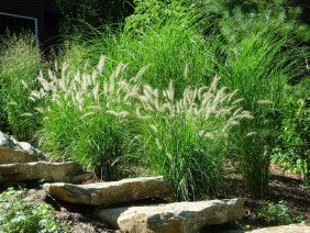Nawada Landscape Design, Inc. - Photo 2