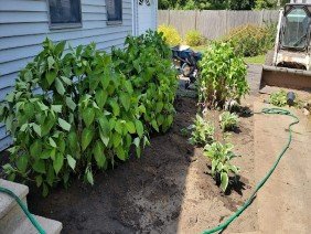 Infiniti Creative Landscape Design - Photo 1