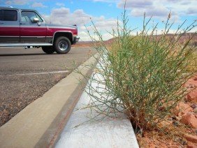 Curb Appeal Asphalt Services, LLC - Photo 2