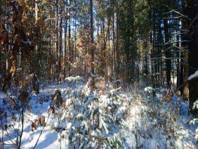 Bryant Land Surveying - Photo 5