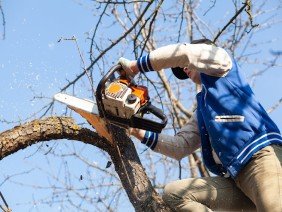 Dartmouth Concrete Foundations - Photo 0