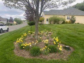 Churchill Gardens - Photo 2