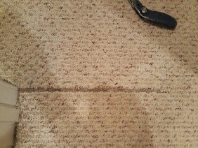 Maryland Carpet Repair & Cleaning - Photo 5