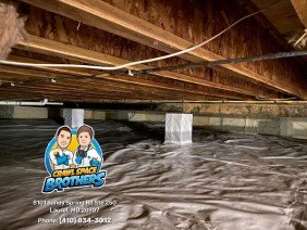 Crawl Space Brothers - Photo 5