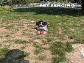 Great Lakes Fencing Inc. - Photo 0