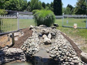 Natural Elements MD Inc - Photo 0