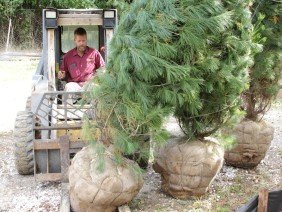 Natural Concerns Inc - Photo 2