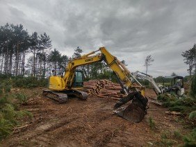 Broz Timber & Excavating LLC - Photo 6