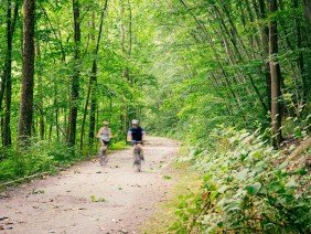 NVHomes at Longview Ridge - Photo 2