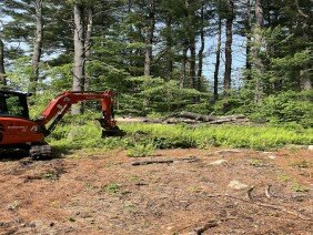 Digging Dogs Excavation - Photo 4