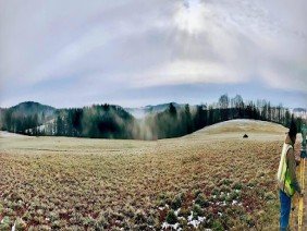 Green River Survey - Photo 1