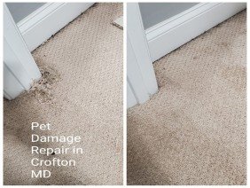Maryland Carpet Repair & Cleaning - Photo 3