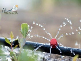 Phoenix Landscapers, Landscape Design, by Unwind Landscapes - Photo 5