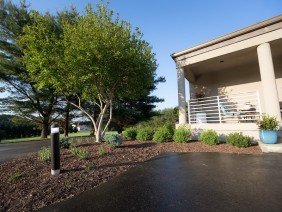 Rhine Pools - Photo 0