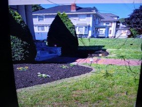 Tims tree & landscaping - Photo -1