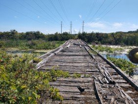 Bryant Land Surveying - Photo 6