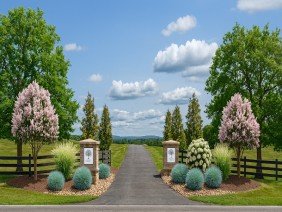 Atlantic Homes Company LLC dba Atlantic Homes - Photo 5