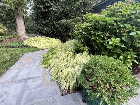 Allentuck Landscaping Co. - Photo 3