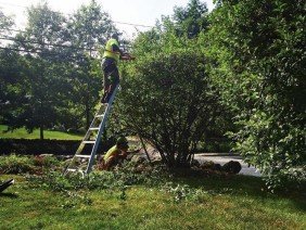 Morahan Brothers Landscaping, LLC - Photo 3