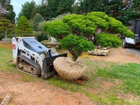 Lee's Oriental Landscape Art, LLC, - Photo 3