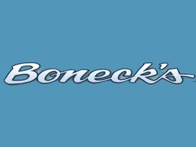 Boneck's Professional Pool Builders Inc - Photo -1