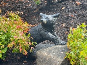 Kingdom Landscaping - Photo 0