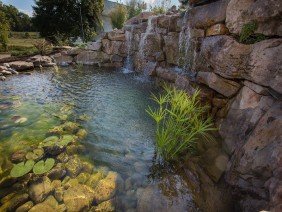 Frederick Landscaping Inc - Photo 2