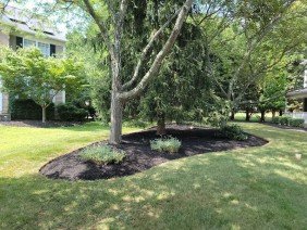 Y&L Landscaping & Tree Service - Photo -1