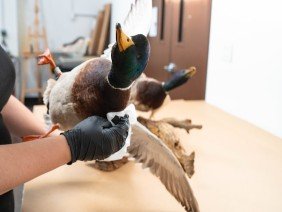 Prism Specialties of Alabama and the Panhandle - Photo 5