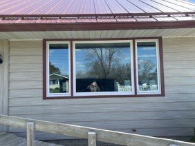 Minnesota's 1st Choice Replacement Windows, Doors, Siding, & Roofing - Photo -1
