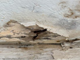ASAP Restoration LLC of Tempe Arizona - Photo 3