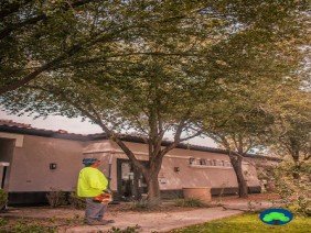 Diaz Tree and Landscape Management - Photo 1