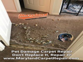 Maryland Carpet Repair & Cleaning - Photo -1