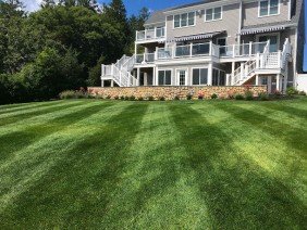 Yard Boss Landscape Design - Photo 4