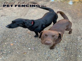 Great Lakes Fencing Inc. - Photo 3