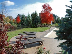 Landscapes Unlimited - Photo 3