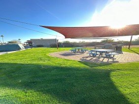 Phoenix Pro Landscaping & Lawn Care Services - Photo 1