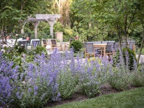 Pinehurst Landscapes - Photo 2