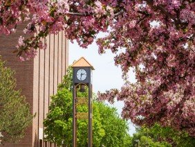 Michigan Technological University - Photo 4