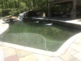 Dolphin Pool Services, LLC - Photo 3