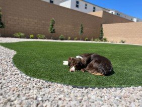 Horizon Landscape and Design - Photo 2