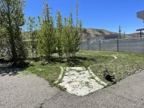 EZ Dayz Landscaping LLC. - Photo 2