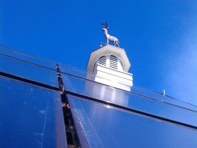 Go Green Industries - Photo 4